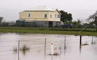 澳各地將迎來降雨 新州洪水持續