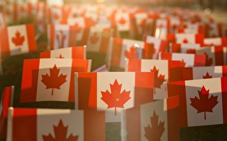 阵亡将士纪念日 加拿大各地举办纪念活动