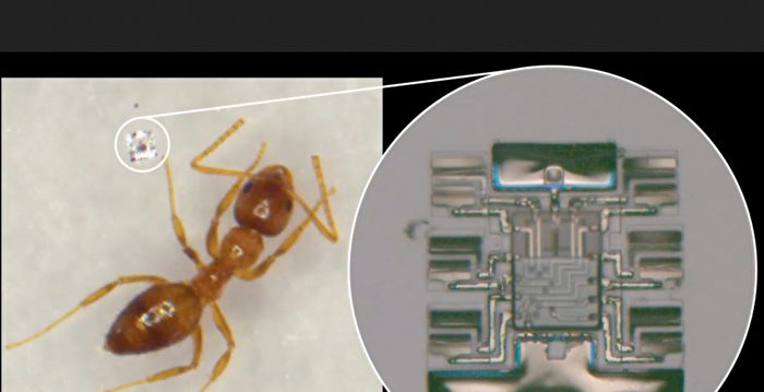 超微型智能机器人问世 体积仅蚂蚁脚长1/4