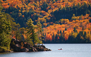 诗歌：加拿大之秋