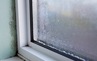 窗戶上凝結的水珠會影響健康 如何避免？