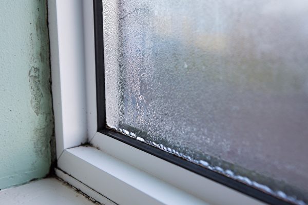 窗户上凝结的水珠会影响健康 如何避免？