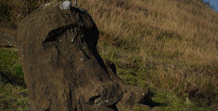 复活节岛摩艾像遭野火烧焦 损坏程度难以修复