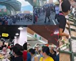 千百度：“杀鸡用牛刀”的防疫是为了什么？