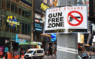 控枪新法遭联邦法官下禁制令 纽约州上诉