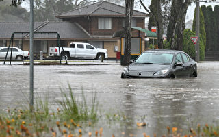 存洪水風險 墨爾本Maribyrnong市部分居民撤離