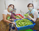 “水饺西施”廖家仪戏外当志工 包442个爱心便当