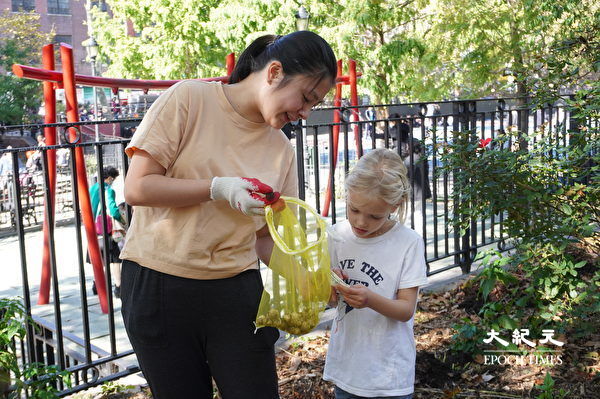 紐約華埠民眾化身園丁 清潔羅斯福公園
