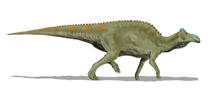 罕见“恐龙木乃伊”身上惊见远古鳄鱼咬痕