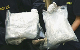 西班牙警察突袭运牛船 缴获1.14亿美元毒品