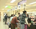 舊金山選舉：民選官員一覽