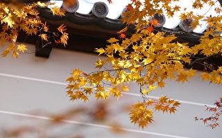【东瀛采风】秋意渐深 日本文化愈浓