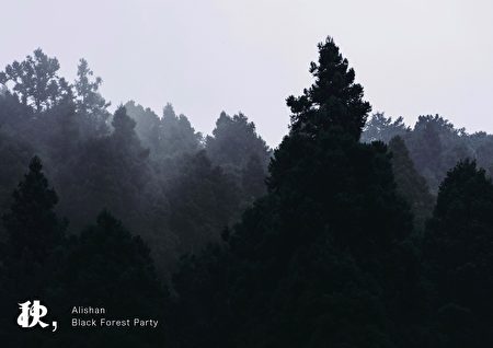 林管處邀請民眾除了來阿里山享受山林雲霧繚繞的景色，也可以用不一樣的音樂派對增加遊憩回憶。