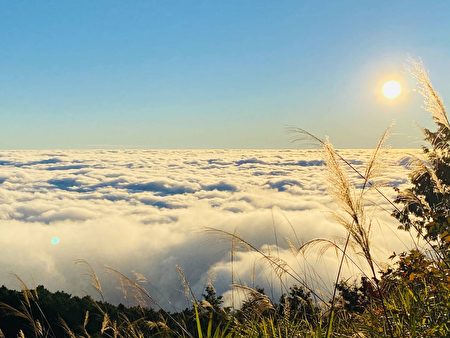 秋冬除了天氣穩定，也是阿里山最容易看到雲海的季節。