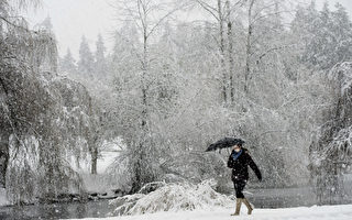 温哥华出现自1991年来最早降雪