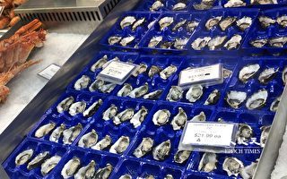 需求高涨 南澳科芬湾牡蛎产业今年前景大好