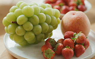 “甜美水果为世界带来幸福”——韩国代表性水果GREENVIL出口企业