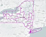 纽约州民主党选不好 怪罪选区重划地图？