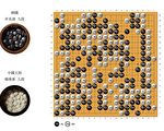 LG杯：申真谞不敌杨鼎新 中国大陆棋手会师决赛
