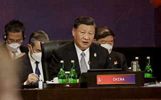 出席G20 习近平试图分化欧盟国家领导人