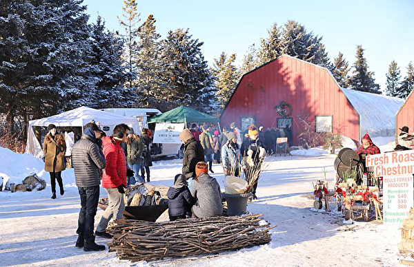 薩斯卡通農場（Saskatoon Farm）聖誕市場