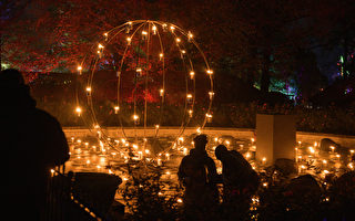 組圖：紐約布魯克林植物園舉行「光景」燈展