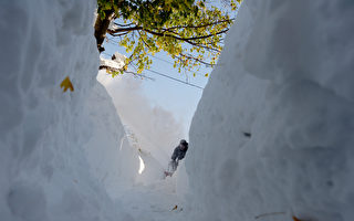 組圖：大雪侵襲美國水牛城 降下6英尺積雪