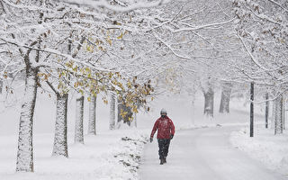 蒙特利尔11月16日迎来今冬首场大雪