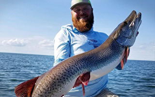 明州男子成功捕獲1.5米長狗魚 破州紀錄