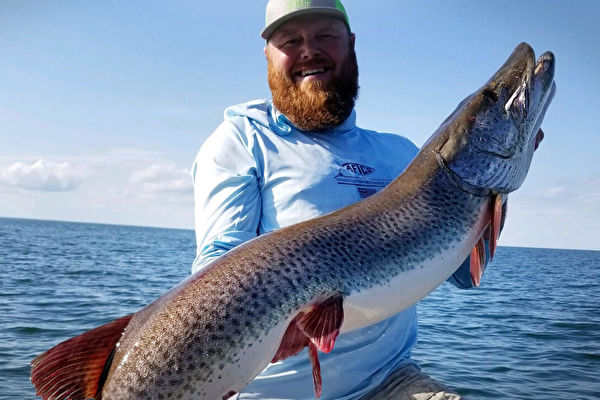明州男子成功捕獲1.5米長狗魚 破州紀錄