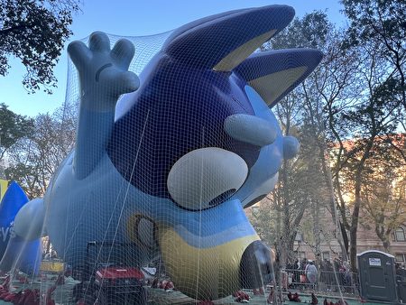 2022年11月23日，感恩节的前一天，梅西百货公司人员在曼哈顿上城给巨型气球充气。图为今年的新气球布鲁伊。
