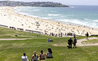 悉尼西区市长吁周日免过路费 鼓励人们出去玩