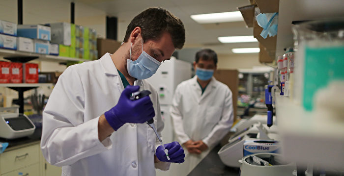 新报告:纽约老鼠身上发现COVID-19病毒