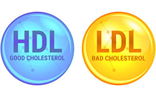 新研究质疑HDL胆固醇能否预测心血管疾病