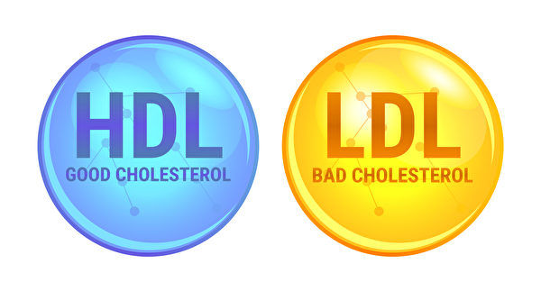新研究质疑HDL胆固醇能否预测心血管疾病