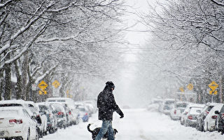 冬季风暴来袭 将影响加拿大四省