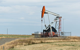 智庫：加國石油和天然氣出口能取代一半俄國出口