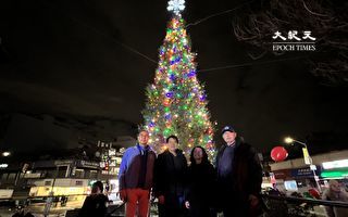 延续22年传统 纽约法拉盛节日树点灯