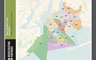 纽约州众议会选区新一轮地图公布