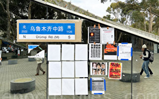 加州大学圣地亚哥分校中国学生声援白纸运动