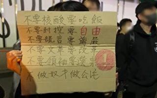 在日中国留学生声援白纸革命 高喊“推翻中共”