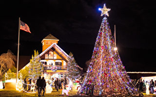 組圖：紐約上州新世紀聖誕燈展 帶給民眾驚喜