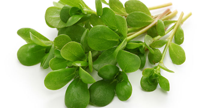 治糖尿病又缓解哮喘 不起眼的野草原来是强效药