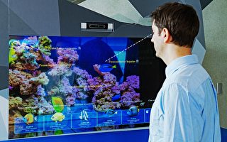工研院「我視AI魚缸」獲美CES創新獎