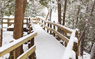 冬季远足 多伦多周边十条美丽步道