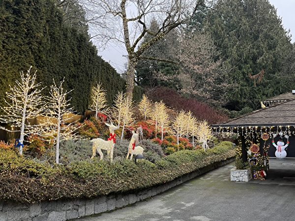 圖：溫哥華一豪宅被特別打造成「聖誕仙境」，令觀看者嘖嘖稱奇。（黃宗芹提供）