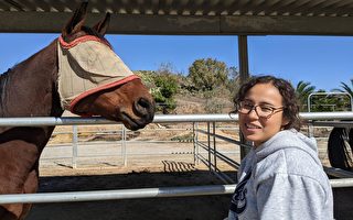 Mt. SAC社區大學設馬場中心相關課程