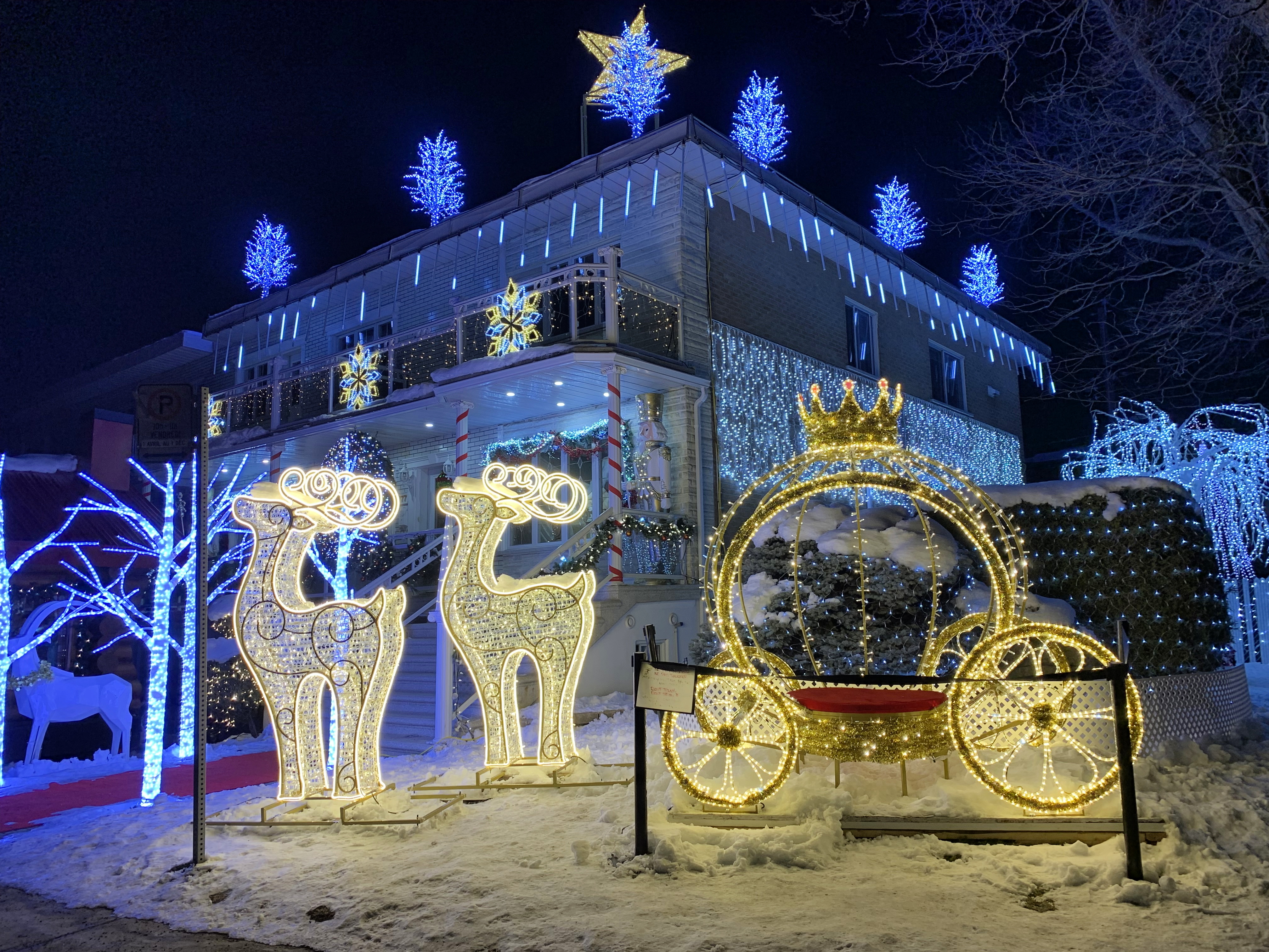 探索台東藍的魅力, image size:4032x3024