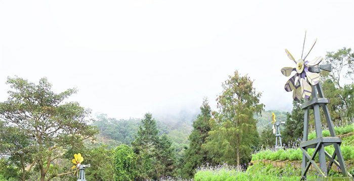 紫色的梦幻国度－－台中新社薰衣草森林