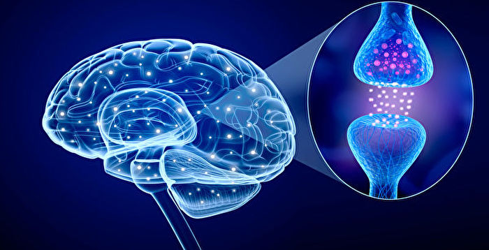 新发现或可解释为何女性易患阿滋海默症